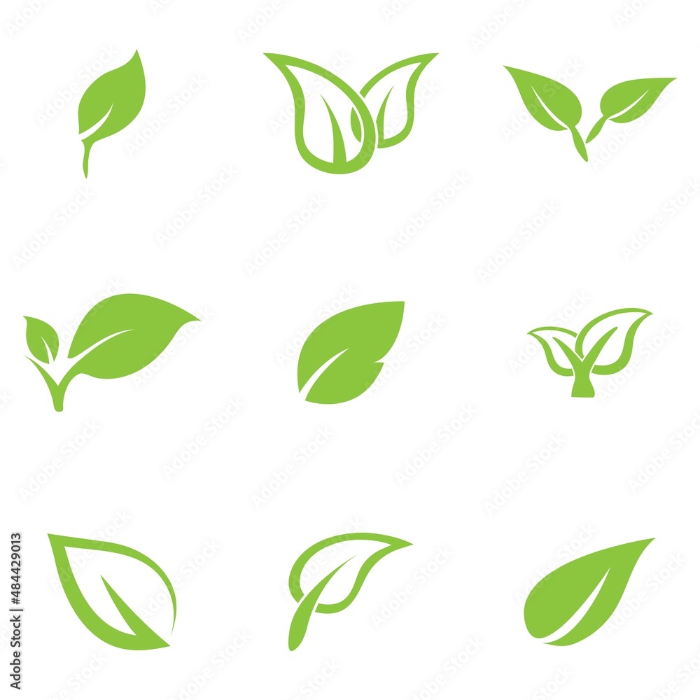 leaf logo icon vector design template leaf logo icon vector design template