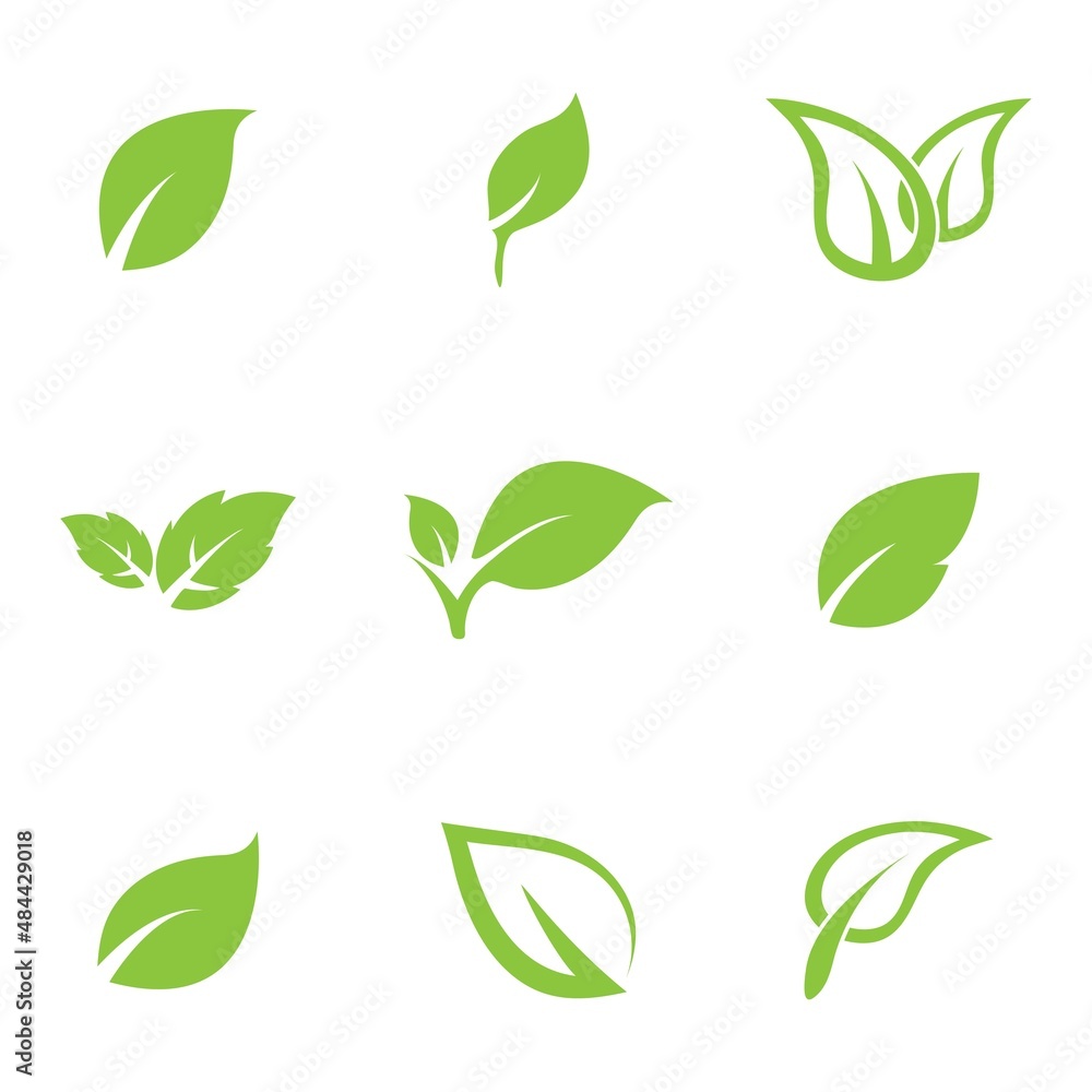 leaf logo icon vector design template leaf logo icon vector design template