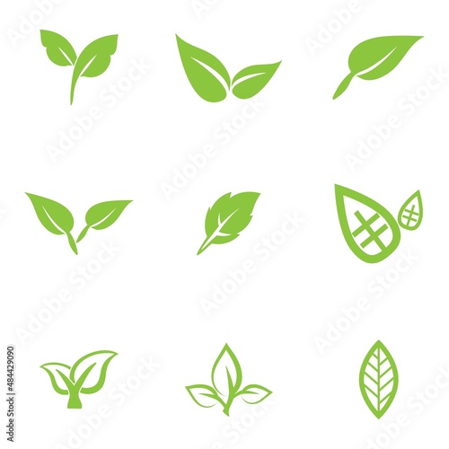 leaf logo icon vector design template