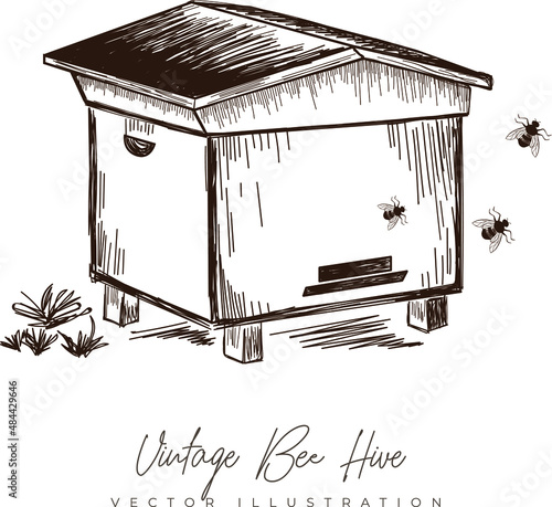 Vintage vector hand-drawing of a bee hive