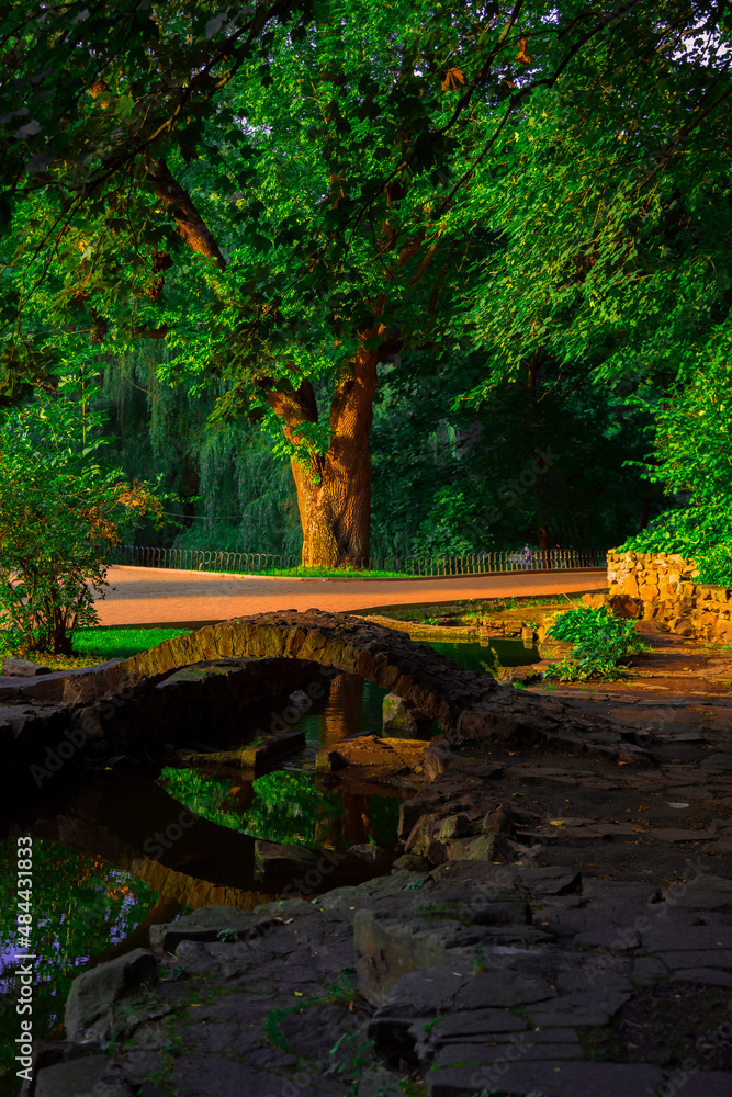 spring time park nature landscape scenic view morning time sun shine vibrant lighting green trees foliage, landscaped architectural object small decorative arch bridge, vertical photography