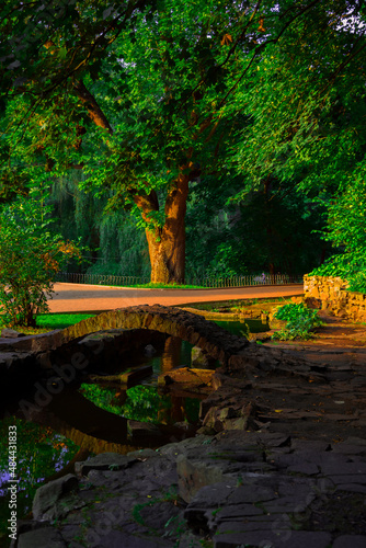 spring time park nature landscape scenic view morning time sun shine vibrant lighting green trees foliage, landscaped architectural object small decorative arch bridge, vertical photography