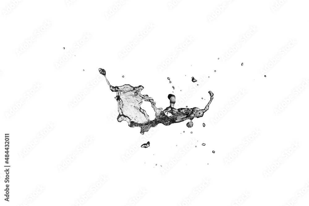 Water Splash isolate On White Background Water Splash isolate On White Background
