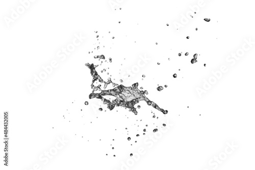 Water Splash isolate On White Background