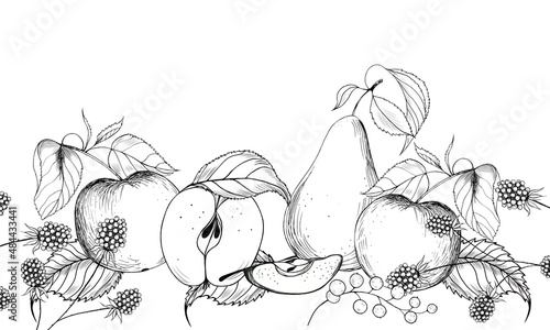 A set of black and white images of fruits and berries on a white background. A hand-drawn drawing.