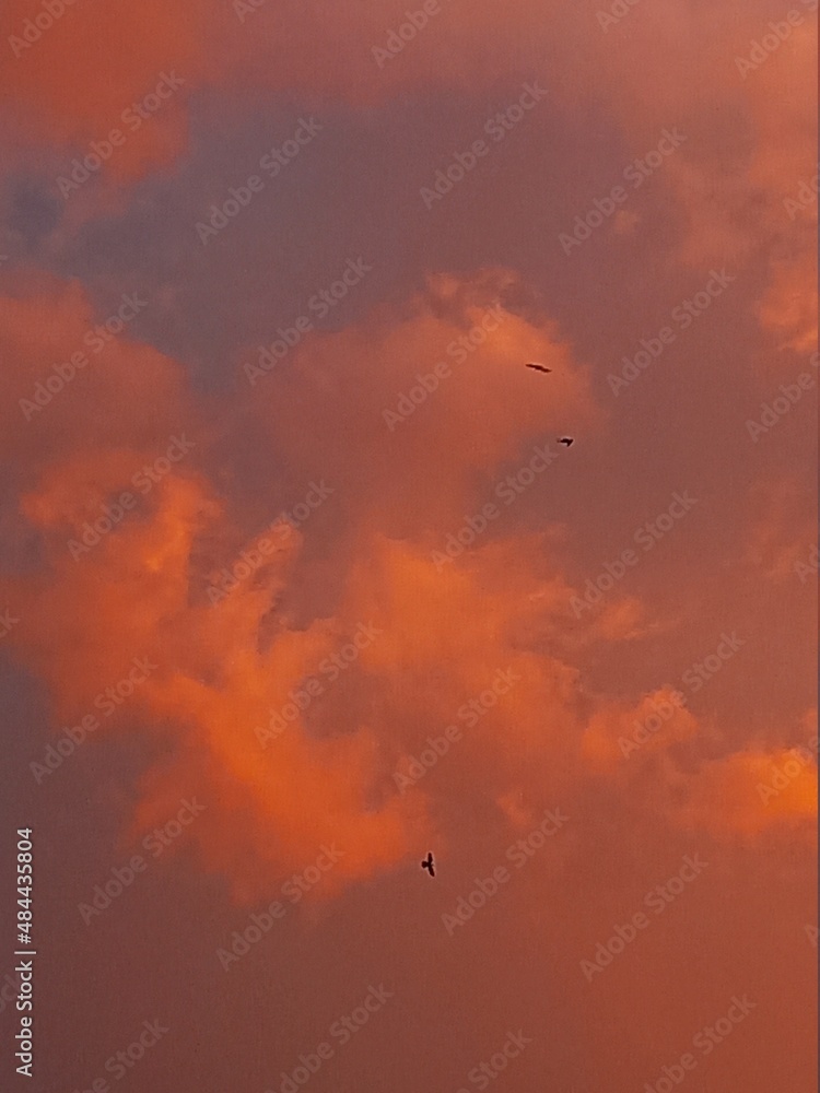 Fototapeta premium sunset in the sky