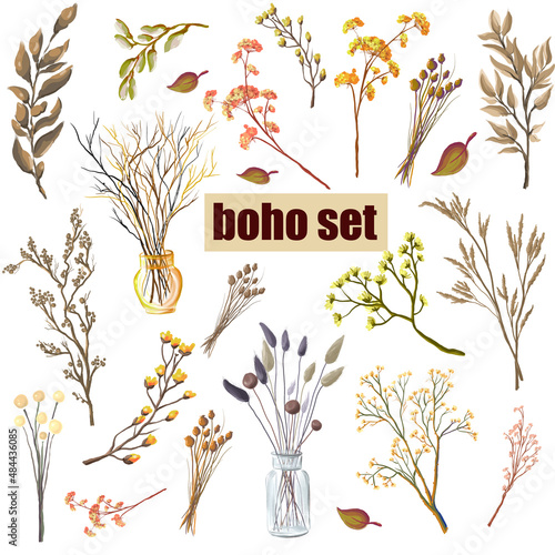 Set of plants and flowers in boho style. Dried wild herbs and flowers. Isolated vector