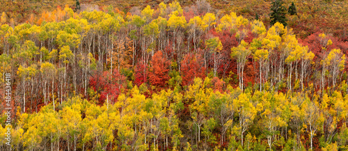 Panoramic of Fall colors at Wasatch Mountain State Park photo