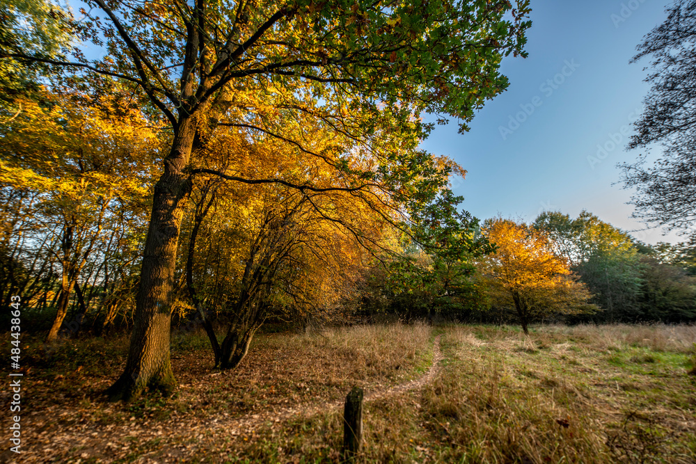 Herbst in der Boberger Niederung