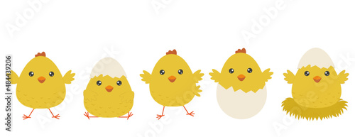 A set of cheerful yellow Easter chicks. Cute chickens isolated on white background. Elements for Easter design and print.Vector illustration