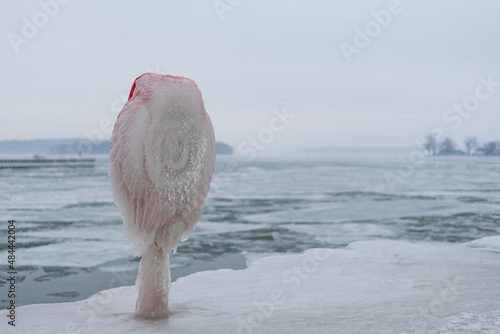 Frozen Lake Ontario in Sodus Point New York photo