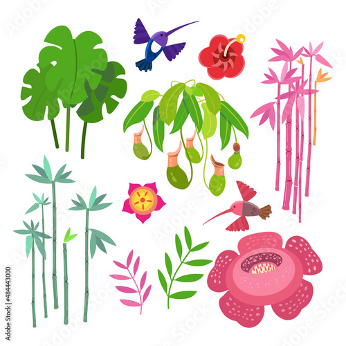 Set of exotic flowers bamboo leaves in tropical forests. Nature flora on planet. Cartoon vector illustration.