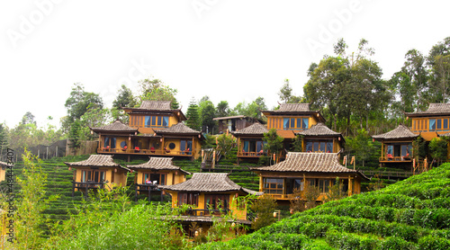 Maehongson, Thailand. - February 2, 2022 : Lee Wine or LeeWine Lodging houses among the tea plantation on the hill slope at Ban Rak Thai (Thai loving village), Mae Hong Son province, Thailand.