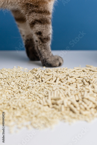 koci żwirek cat litter toilet