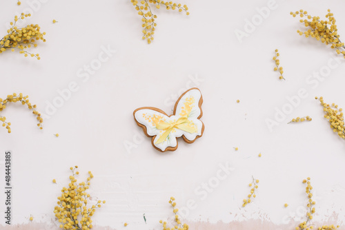 floral pattern of mimosa flowers on white backdrop. Copy space. Floral frame.