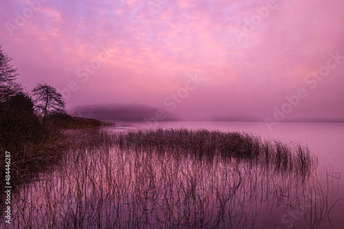 Pink morning light at lake with reeds
