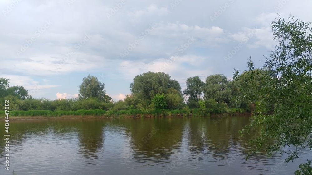 The branches of trees growing on the river bank bent over the water. The opposite bank is overgrown with bushes and trees. Ripples formed on the water. Clouds cover the sky