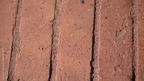 Old red Brick sidewalk through park. Video motion 4k footage with place for text