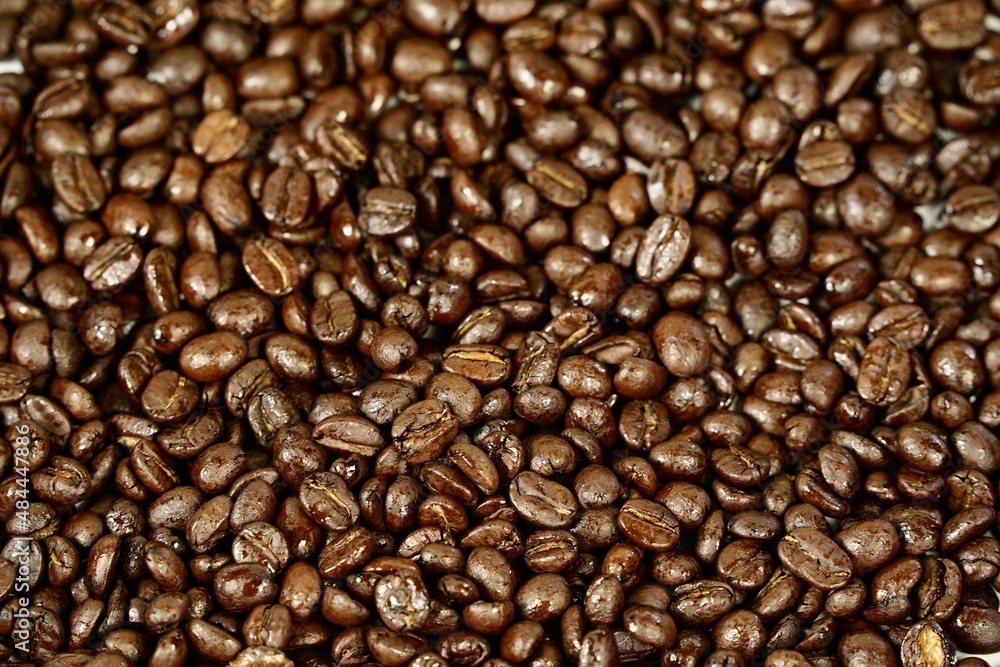 Roasted arabica coffee beans for brew coffee.