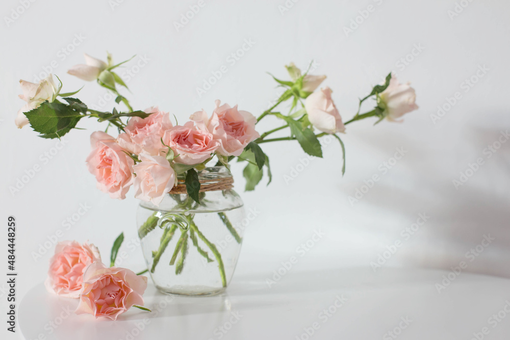 pink roses in glass jar on white modern table on background white wall