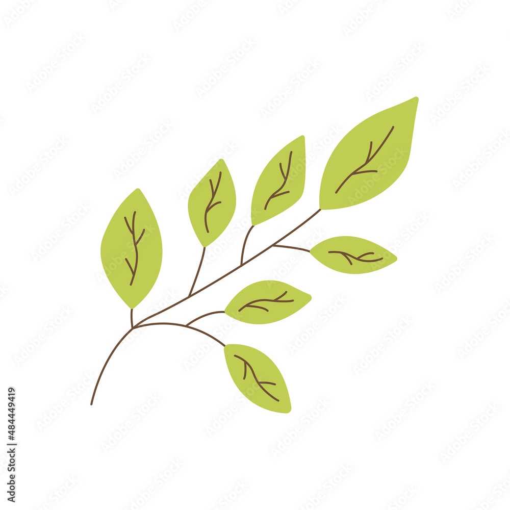 Green twig with leaves. Spring or summer element. Ecology concept. Colorful vector isolated illustration hand drawn. Icon clip art Green twig with leaves. Spring or summer element. Ecology concept. Colorful vector isolated illustration hand drawn. Icon clip art