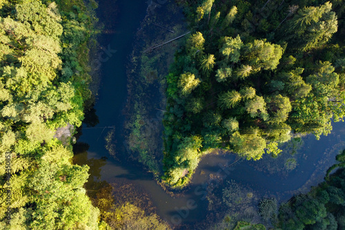 River and green forest aerial view