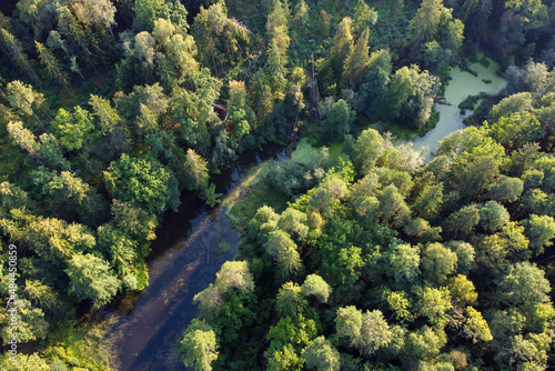 River and green forest aerial view