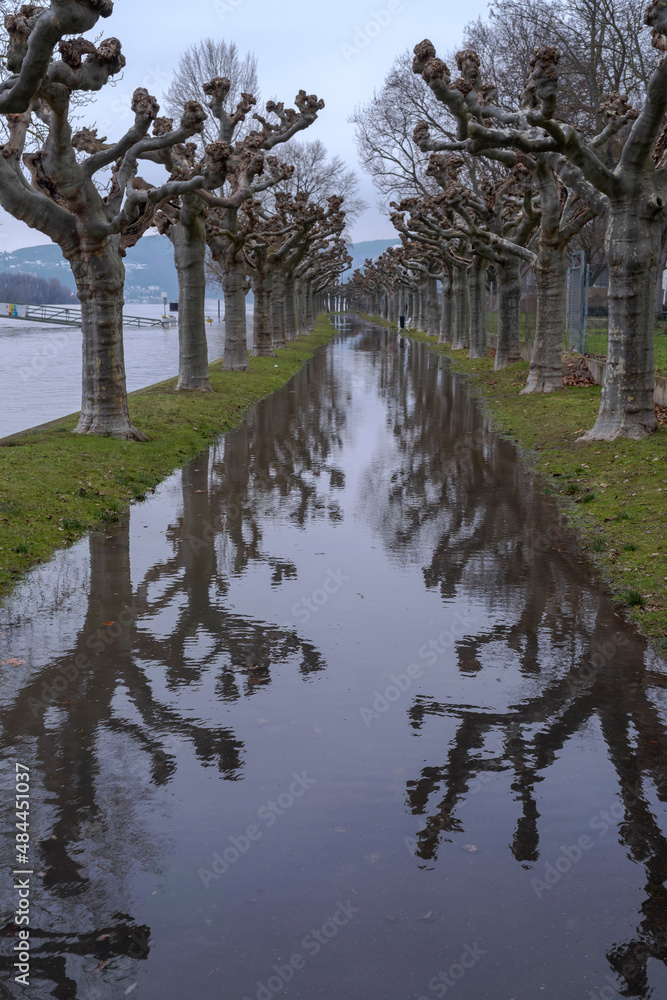 View along the Rhine promenade in Rüdesheim am Rhein/Germany at high tide View along the Rhine promenade in Rüdesheim am Rhein/Germany at high tide