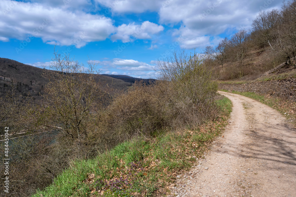 A hiking trail through the vineyards near Rüdesheim am Rhein/Germany in spring 