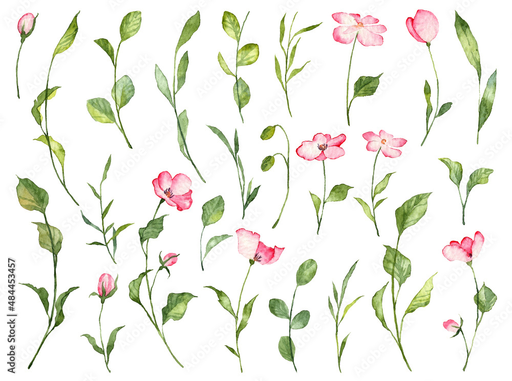 Big collection of watercolor hand painted pink flowers with green leaves on white background. Set of realistic botany florals for decorating, scrapbooking, design templates