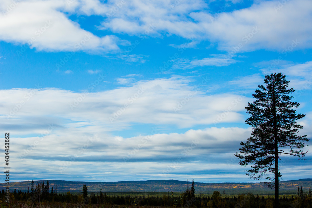 Autumn landscape in Muonio, Lapland, Northern Finland
