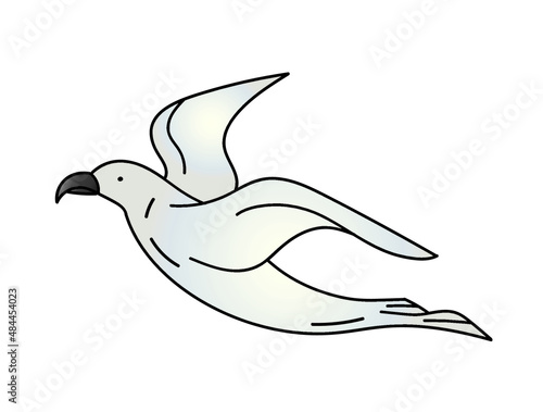 Seagull cartoon bird isolated icon on white background. Vector illustration.