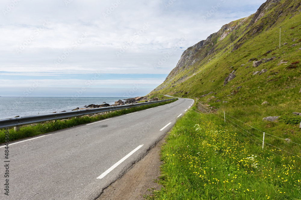 Norwegian landscape with a tiny road along the seaside in a fjord in the summer, Nordland, Norway