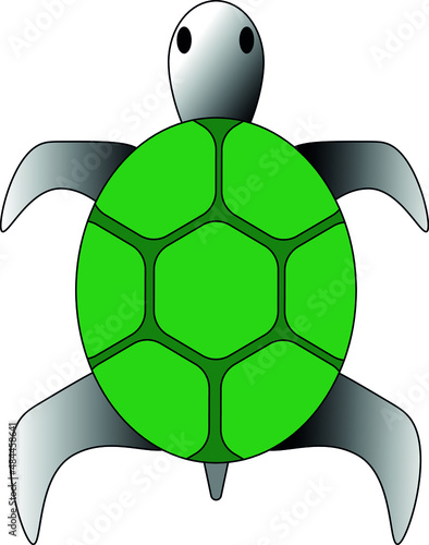 A turtle with green shell