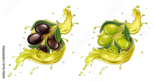 Olive oil transparent vector splash. Branch of black and green olives fruits with leaves, vector realistic