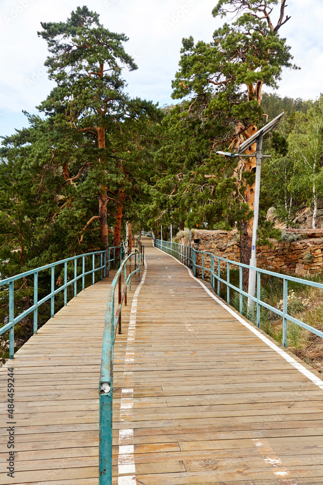 Fototapeta premium walking and cycling paths in the forest
