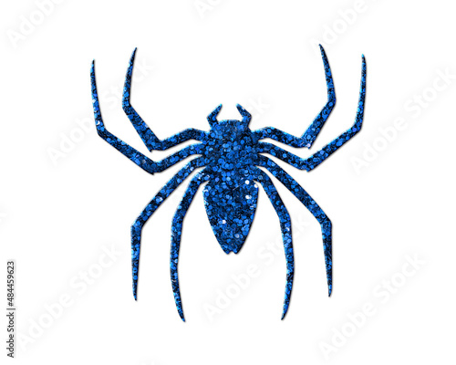 Spider Arachnid Glitter Blue Icon Logo Symbol illustration