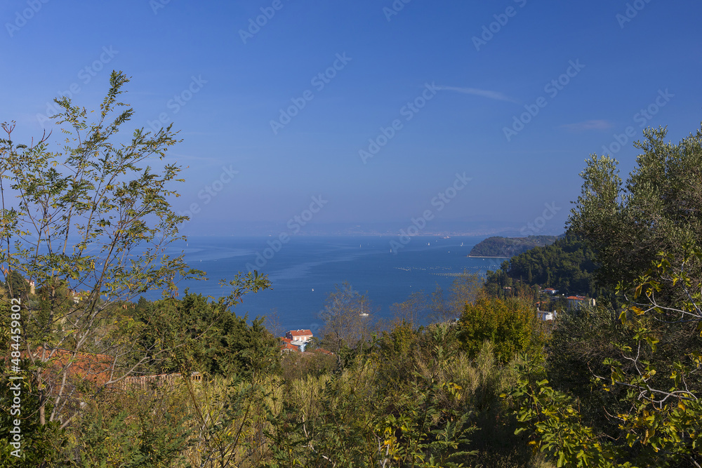 Panoramic view across green hills to Adriatic sea bay and land on horizon under blue sky on sunny summer day
