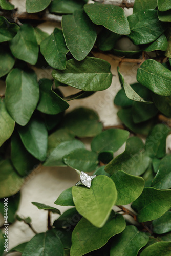 Wedding ring of rhombus shape on a fresh green leaf on green leaves background Diamond wedding ring of the bride Close up