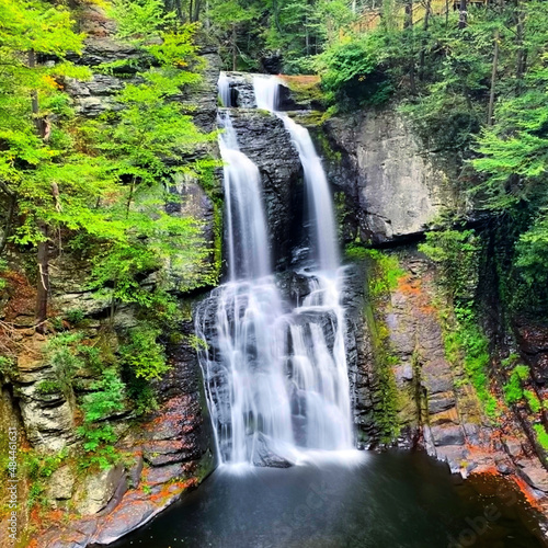 waterfall in the forest