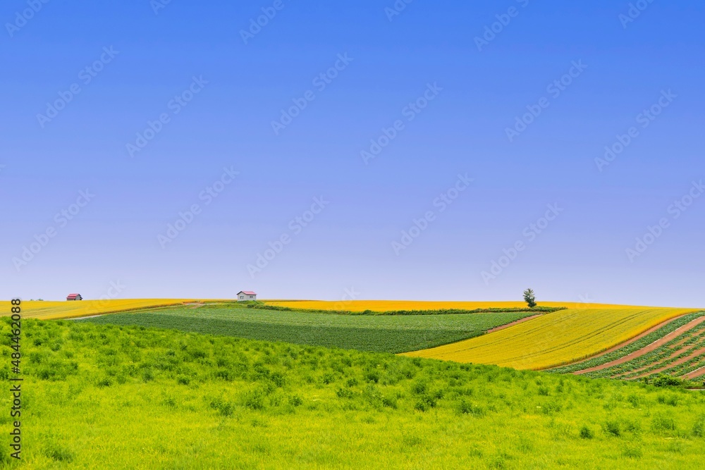 Obraz premium 비에이