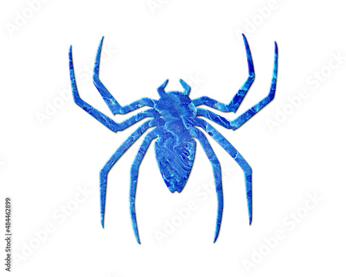 Spider Arachnid Blue Waves Icon Logo Symbol illustration