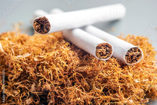 Processed tobacco and cigaret are common name of several plants in the genus nicotiana of the family solanaceae, and the general term for any product prepared from the cured leaves of these plants.