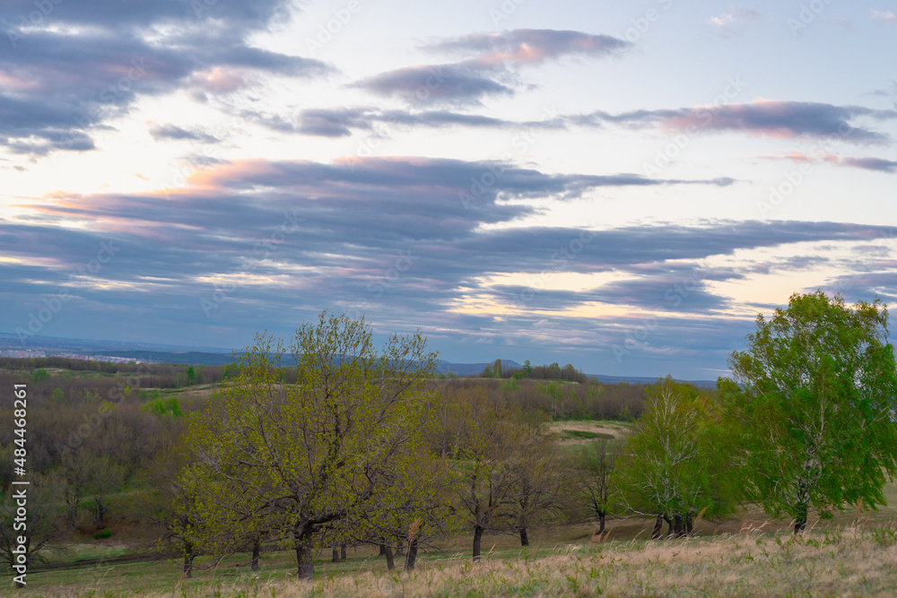 Green forest with green leaves and blue sky with clouds. Green forest with green leaves and blue sky with clouds.