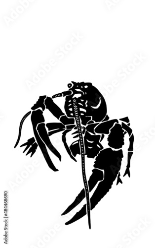 Graphical lobster isolated on white background,vector sea-food element
