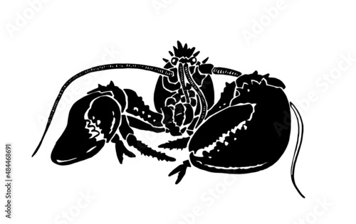 Graphical lobster isolated on white background,vector sea-food element