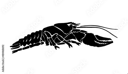 Graphical lobster isolated on white background,vector sea-food element