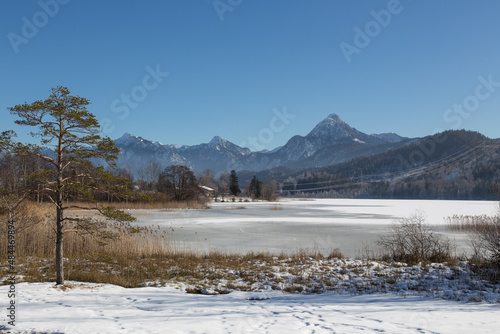Beautiful sunny winter landscape at the bavarian Weissensee with a view to the Füssen mountains and the twin peak mountain Säuling in the region Allgäu at the German-Austrian border 
