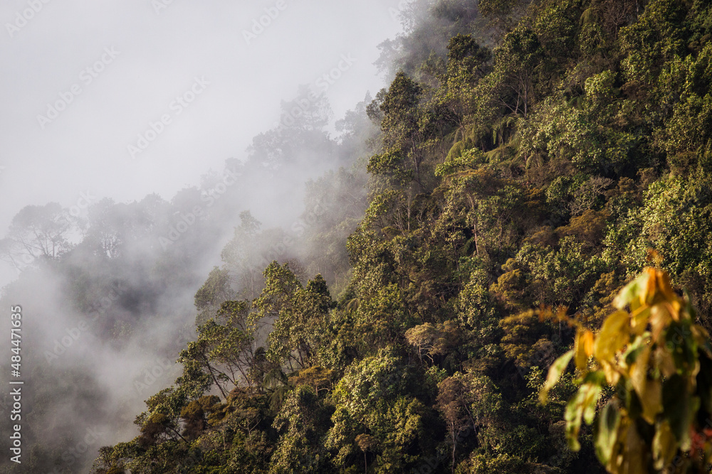 Fototapeta premium fog in the mountains