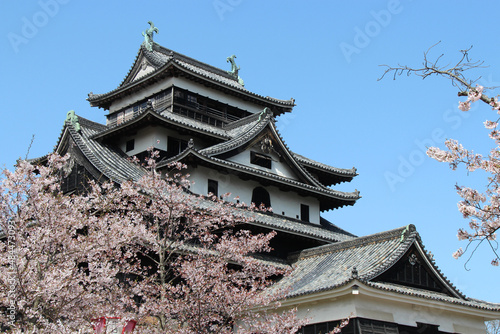 Obraz na płótnie castle in matsue 